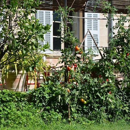 Les Passiflores Грас Екстериор снимка